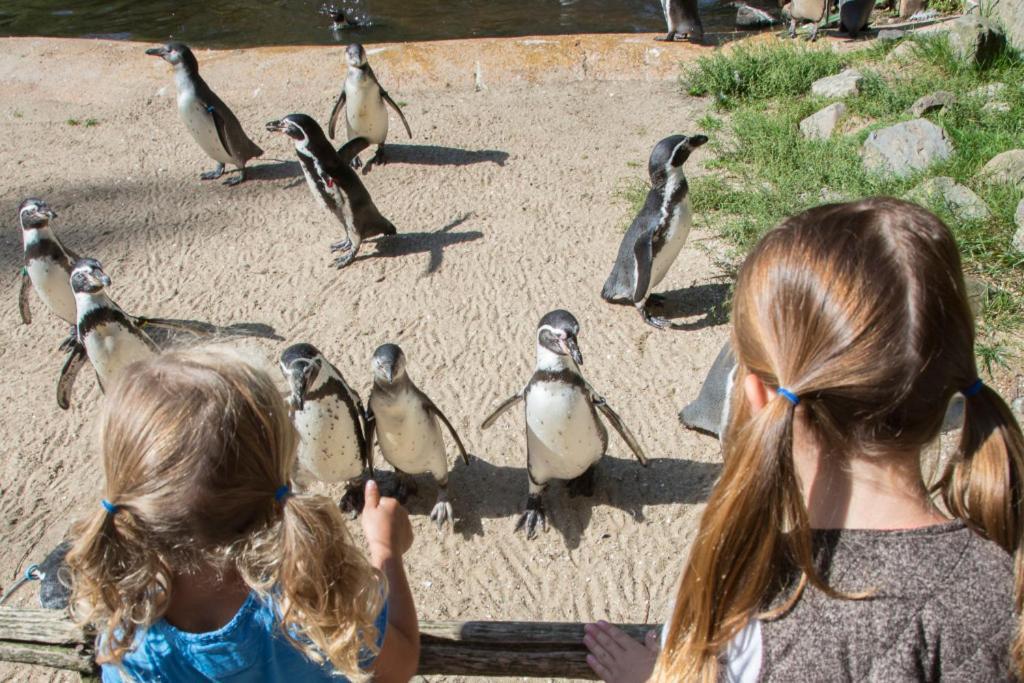 Enjoy Natur, See Und Meer Chalet Lauwersoog- 1-6 Pers- 3 Schlafzimmer, 2 Badezimmer- Fruehes Einchecken Ab 14 Uhr Exteriér fotografie